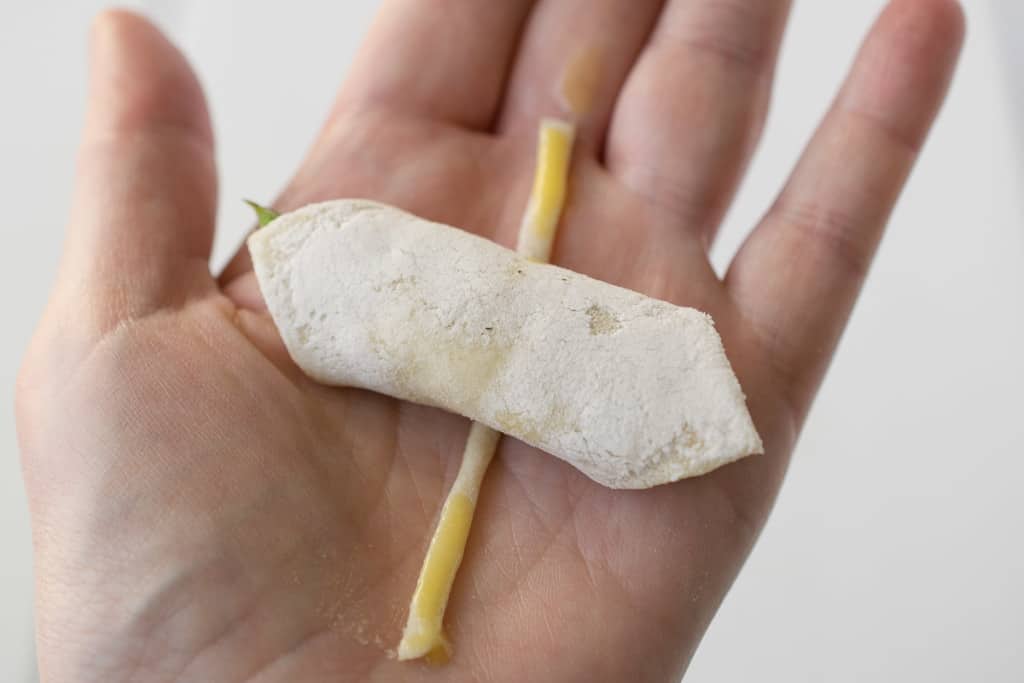 A rolled up puff pastry bite in a hand