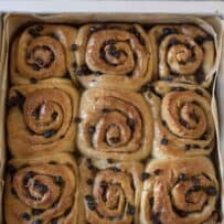 Pastry rolls with currants in a square baking dish from overhead