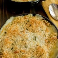 Browned panko breadcrumbs with flecks of sage on top of butternut squash and sage gratin