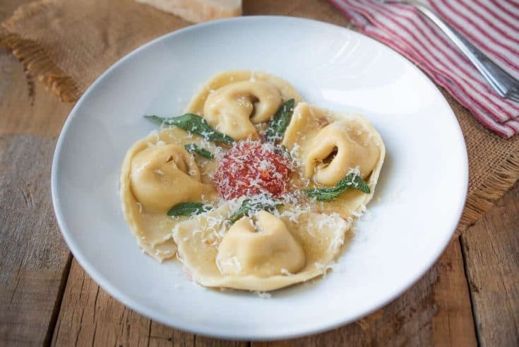 A round white pasta bowl with 4 butternut squash filled cappellacc with a small amount of marinara sauce in the center with crispy sage leaves and grated Parmesan cheesei
