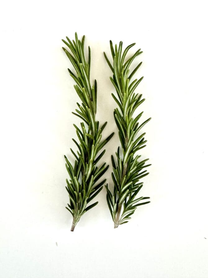 2 sprigs of fresh rosemary