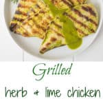 2 white plates of grilled chicken with herb sauce