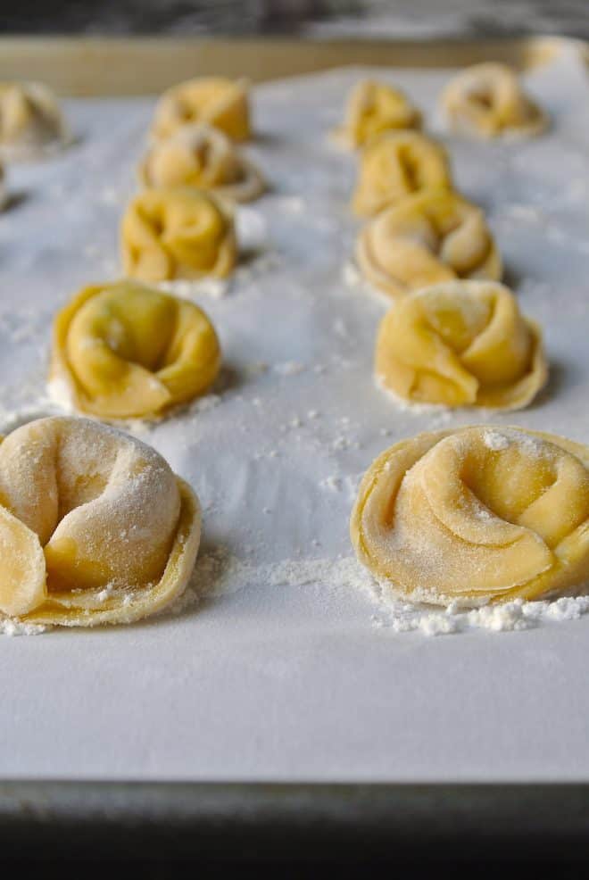 Freshly made cheese tortellini