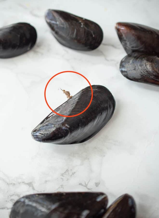 Mussels showing the beard that needs to be removed