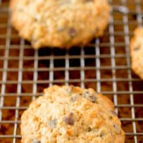 A closeup of an oatmeal cookie