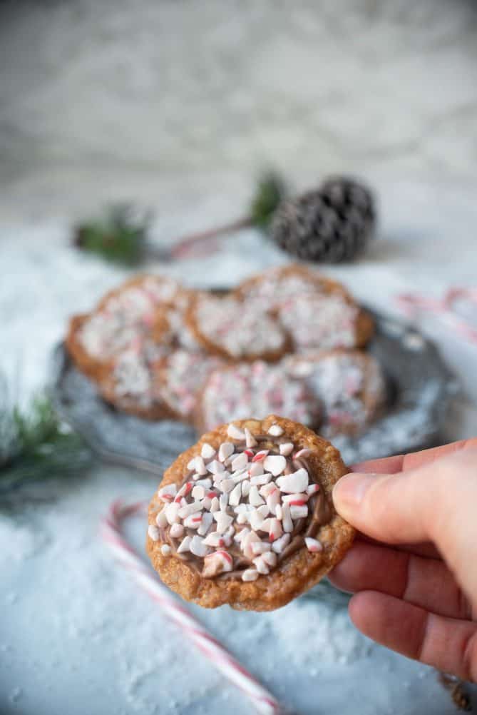 Holding a Florentine lace cookie that is coated in milk chocolate and crushed candy canes