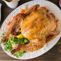 An overhead image of a roast turkey on a white platter with stuffing, mash and cranberry sauce