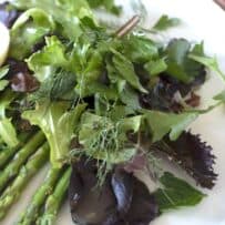 Salad greens piled on a white plate
