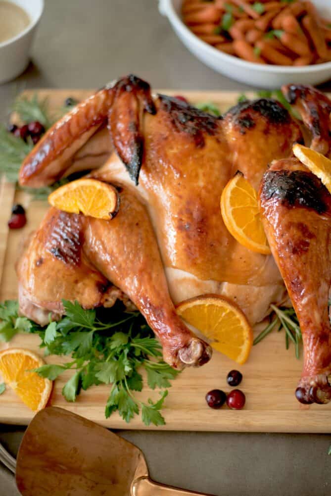 A closeup of roasted turkey with brown crispy skin