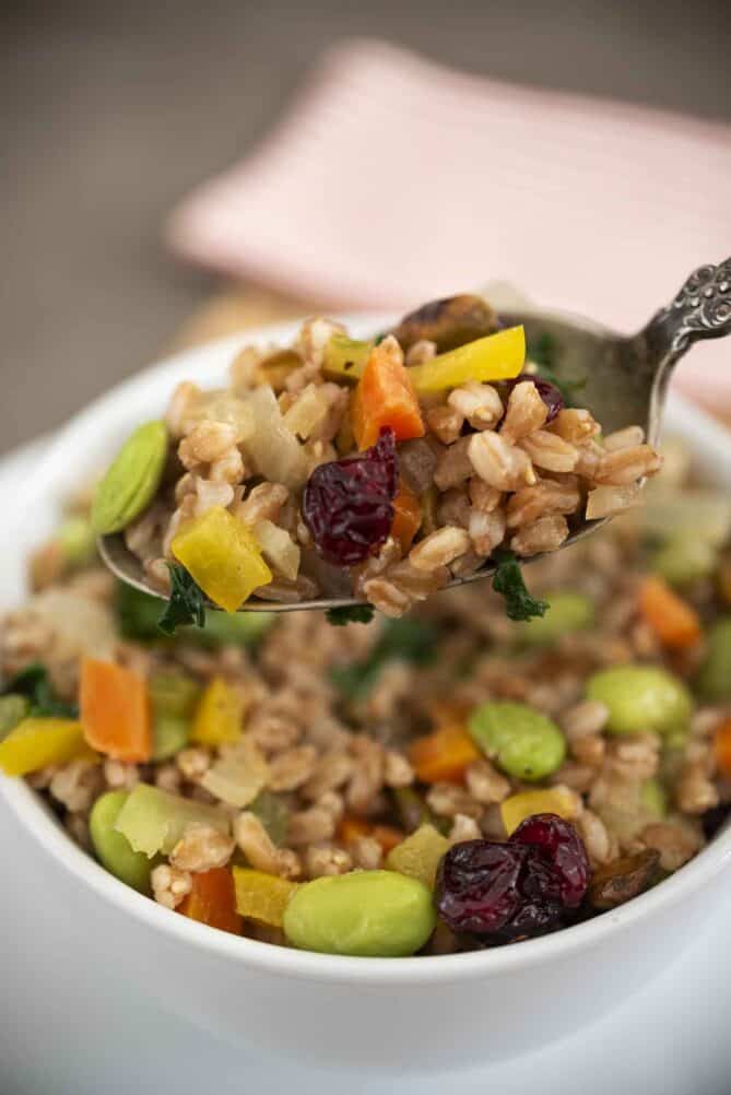 A spoonful of farro vegetable salad