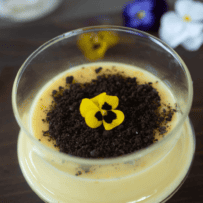 Creamy vanilla custard topped with Oreo crumbs and an edible flower.