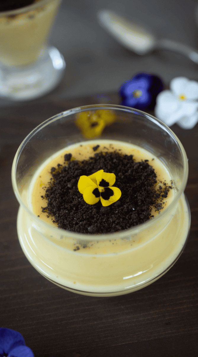 Creamy vanilla custard topped with Oreo crumbs and an edible flower.